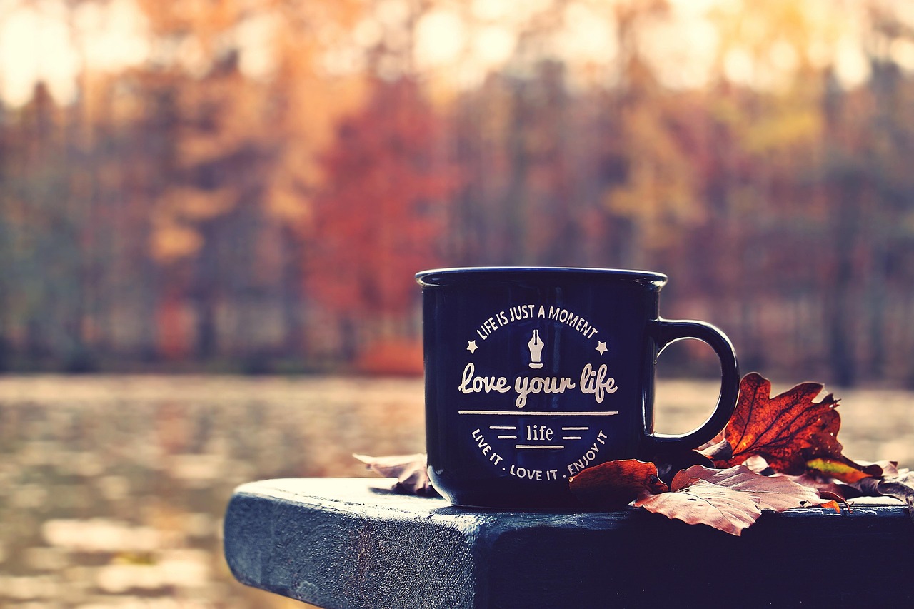 fall, forest, cup, waldsee, bench, love your life, motto, leaves, autumn leaves, quiet, break, races, nature, mood, autumn colors, life is just a moment, saying, spell cup, autumn mood, relax, the atmosphere, scenic, autumnal, fall, fall, cup, bench, bench, bench, autumn leaves, break, break, break, break, break, saying, relax, relax